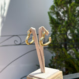 Argola Tubo Coração