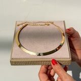 Choker Aro Largo Anatômico 11933_438,00(2).jpg